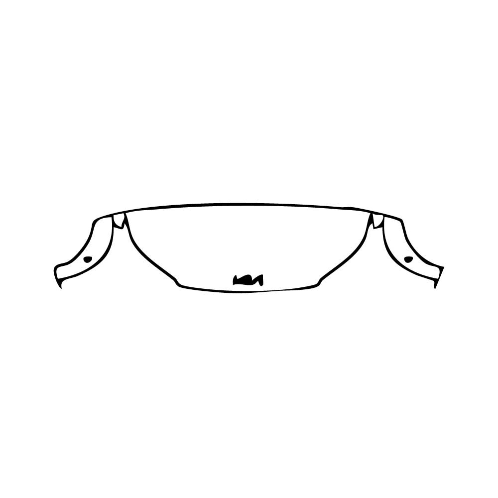 PPF prédécoupé KIA EV3 GT-Line 2025