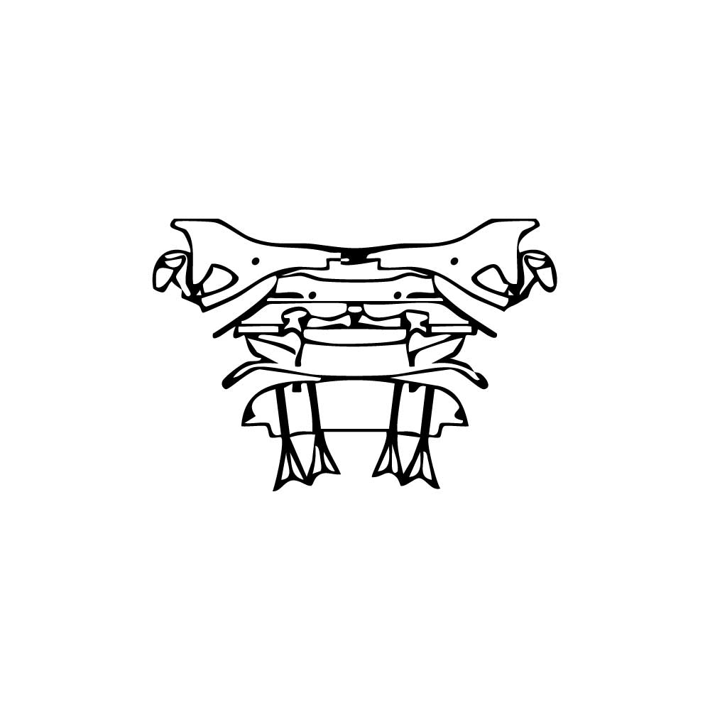 PPF prédécoupé McLaren 750S Spider 2025