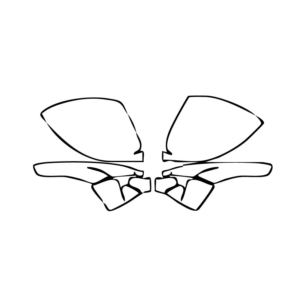 PPF prédécoupé Porsche 718 Cayman Cayman GT4RS 2025