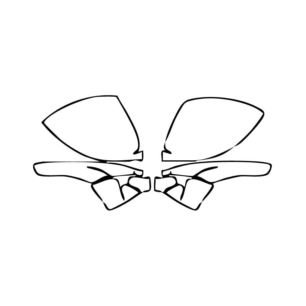 PPF prédécoupé Porsche 718 Cayman Cayman GT4RS 2025