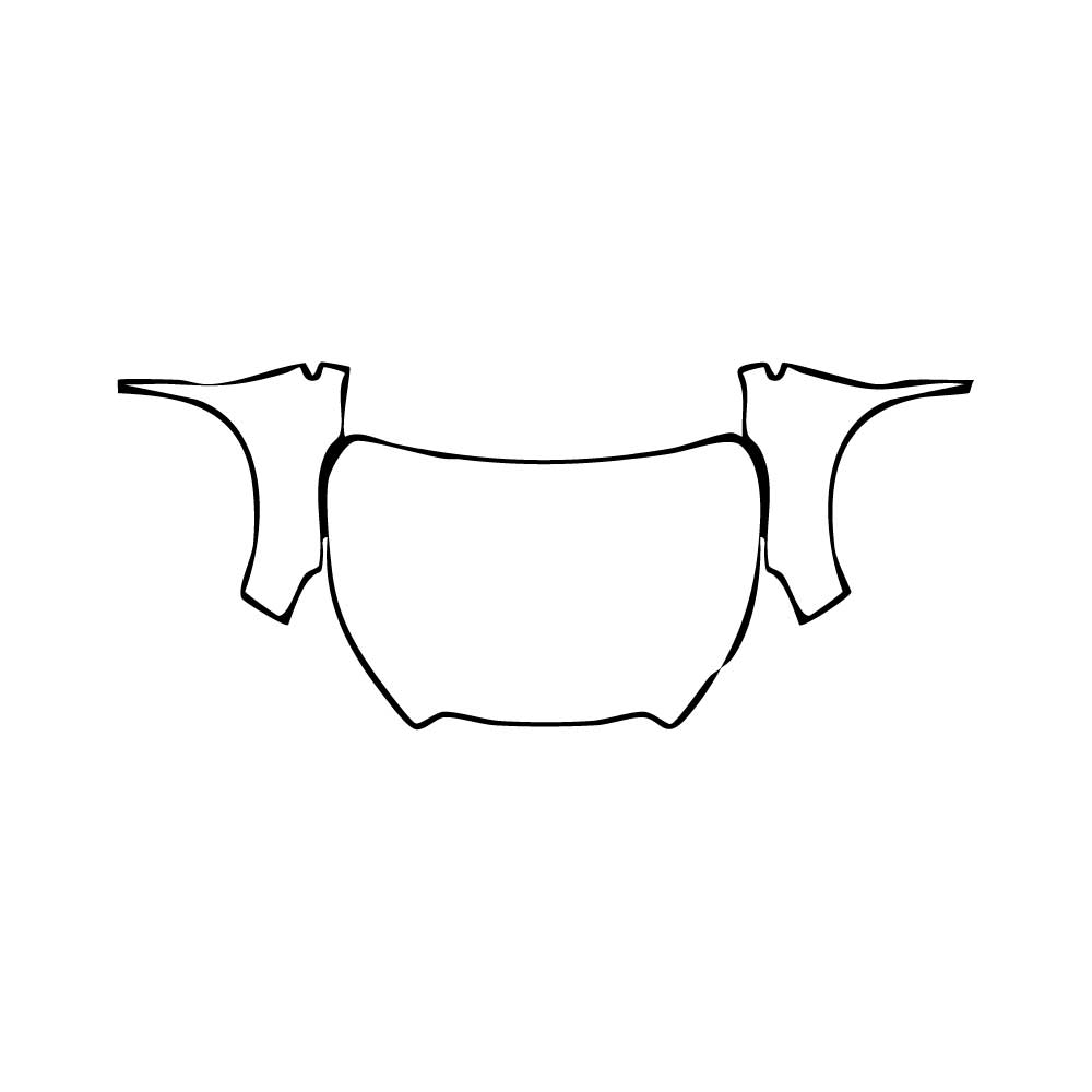 PPF prédécoupé Subaru Ascent (US) Premium 2025