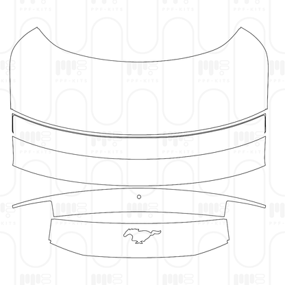 PPF prédécoupé Ford Mustang Fastback EcoBoost Premium 2026
