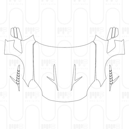 PPF prédécoupé Aston Martin Vanquish Coupe 2025