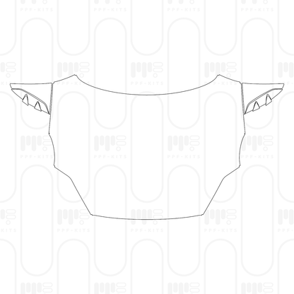 PPF prédécoupé BMW Z4 M40i 2024